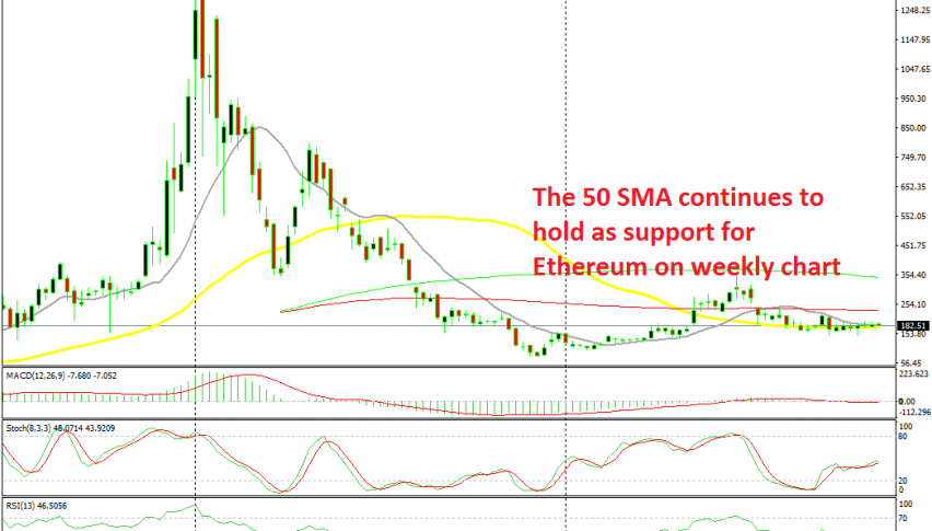The retrace down is complete now