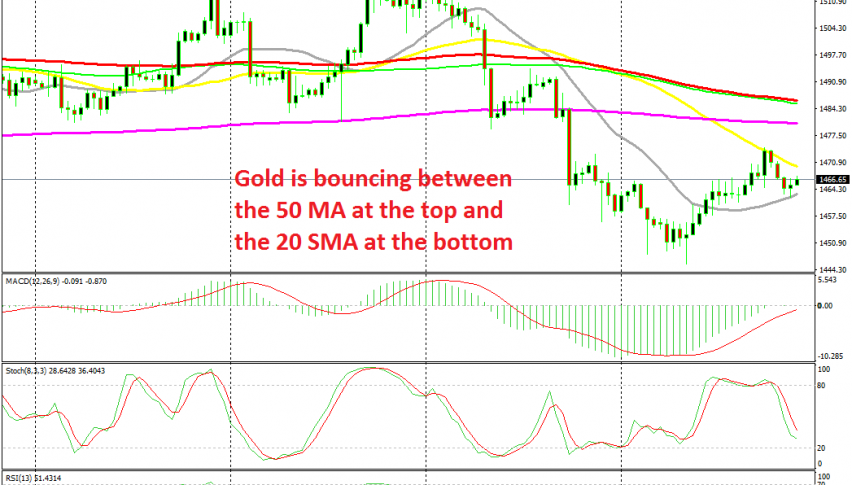 Gold traders are trying to decide now