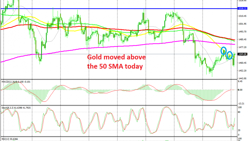 Gold now has turned bullish