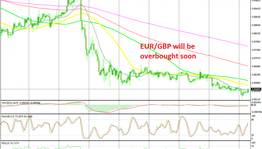 The trend remains pretty bullish