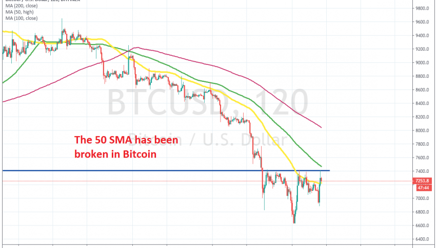 The 50 SMA might turn into support for Bitcoin now