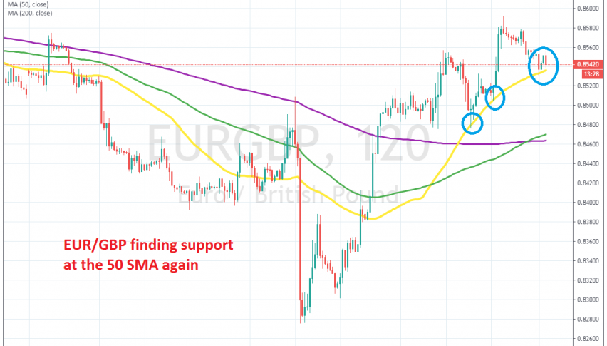 EUR/GBP is pretty bullish now
