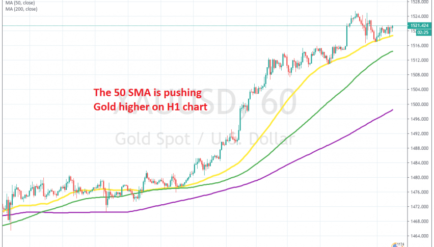 The bullish trend continues for Gold