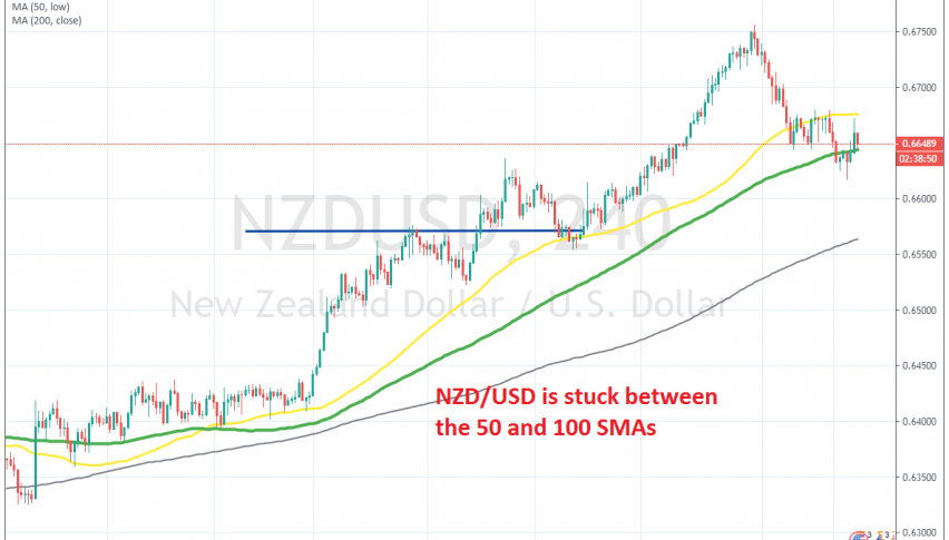 The decline has stopped for now