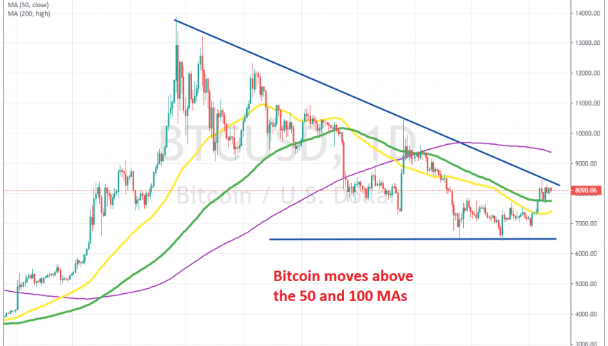 Bitcoin is trying to turn bullish now