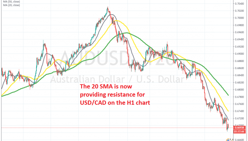 Sellers continue to push lower