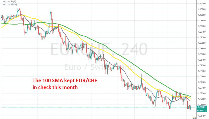 The 100 SMA rejected the price yesterday