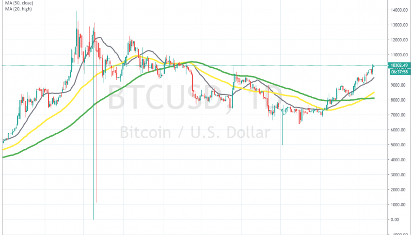 The 20 SMA keeps pushing Bitcoin higher on the daily chart