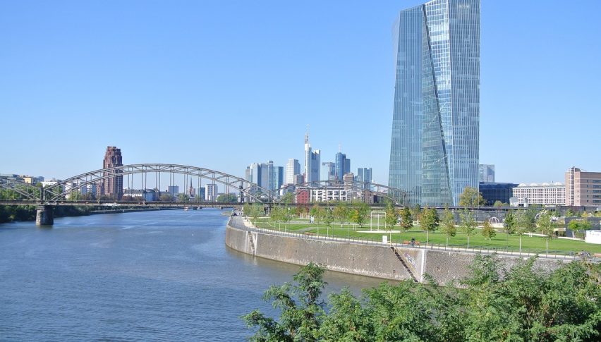 ECB in Focus