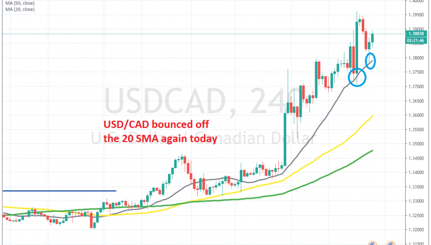 The 20 SMA is pushing the price higher on the H4 chart