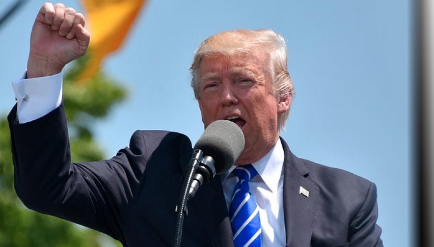 Trump in Focus