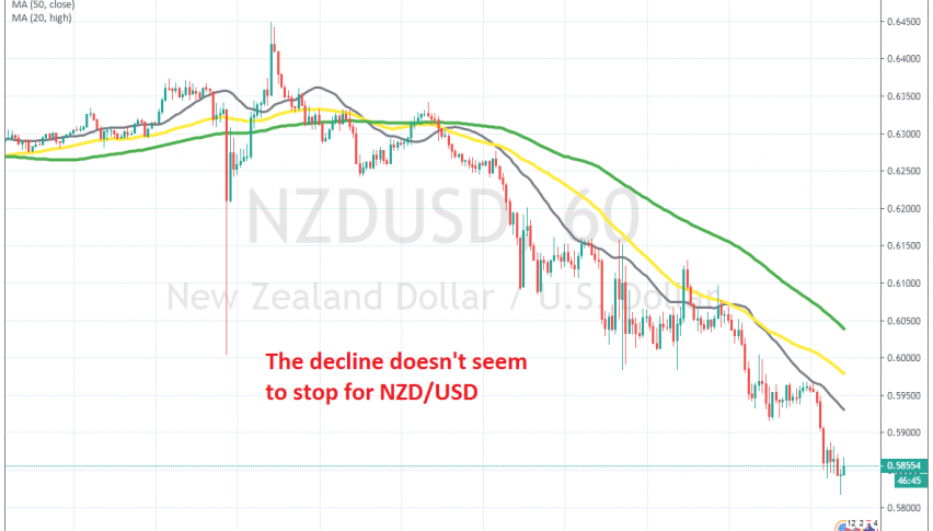 Nothing is stopping the freefall