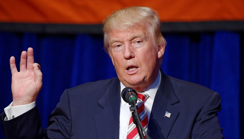 Trump in Focus