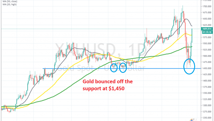 The bullish trend is back on after the pullback earlier this month