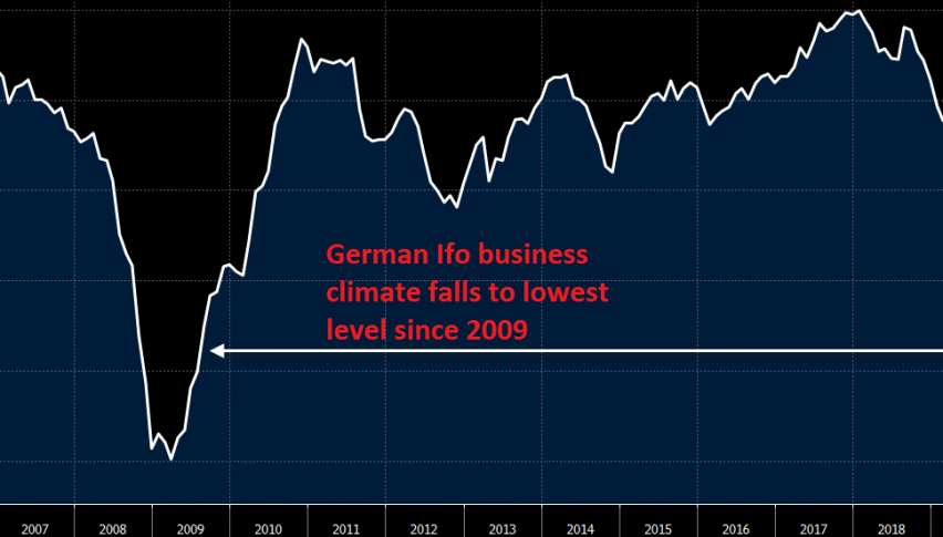 Ifo indicator is heading down