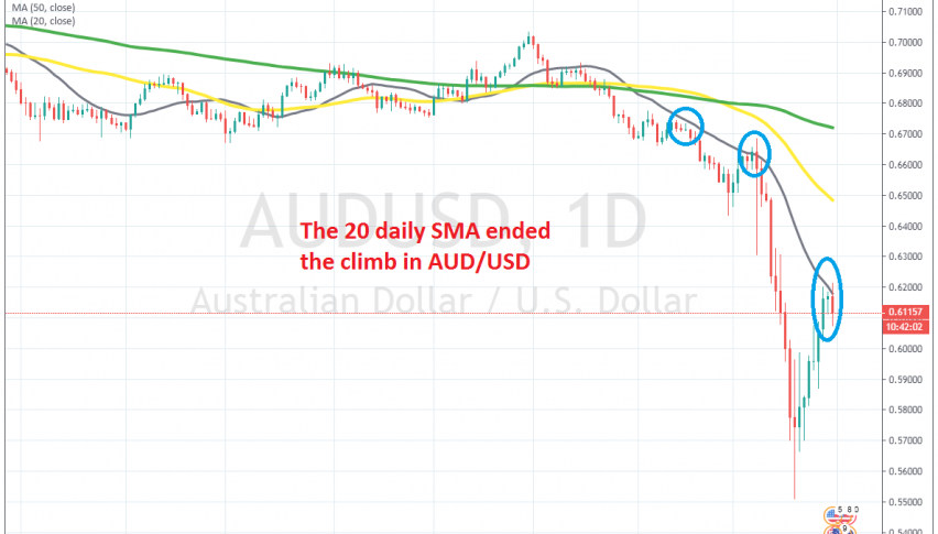 The pullback is complete on the daily chart