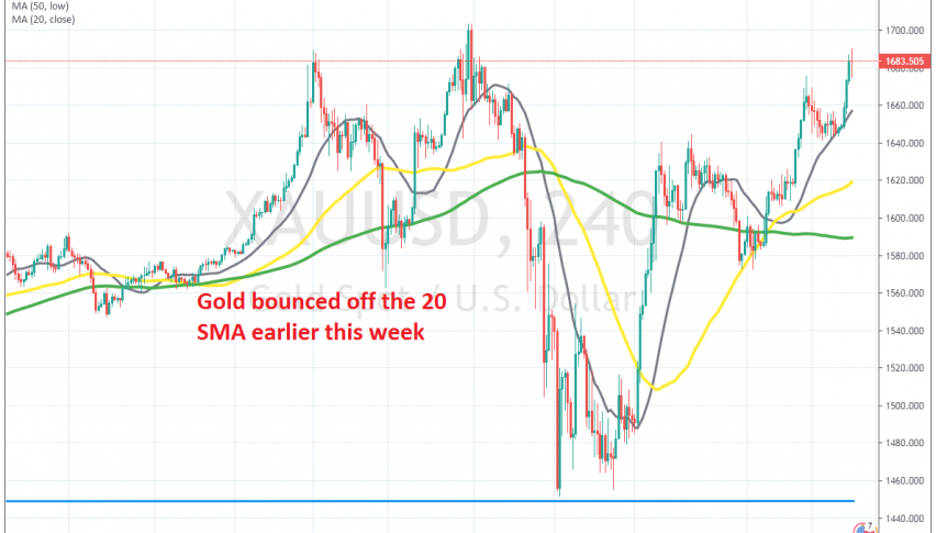 Buyers remain in control in Gold