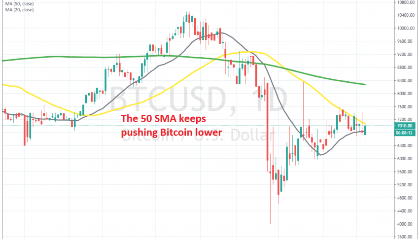 There's a fight between buyers and sellers n Bitcoin