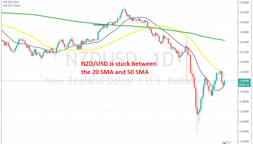 NZD/USD is confined between 2 MAs on the daily chart
