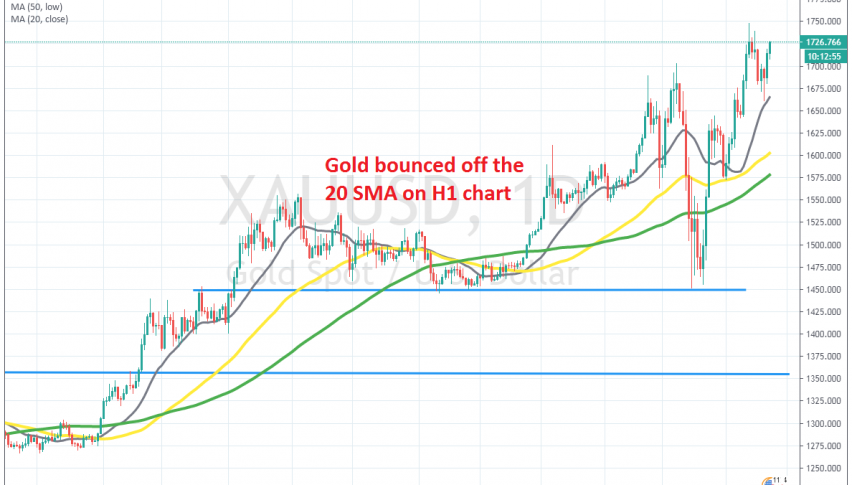Gold continues to remain bullish