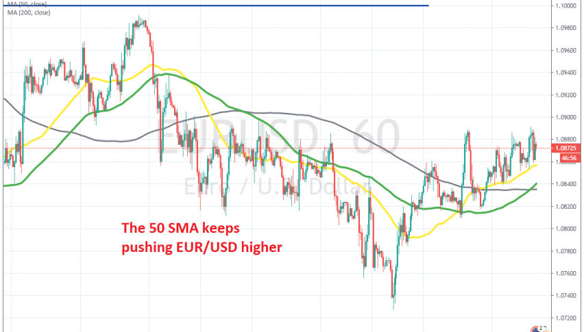 This week's bullish trend continues