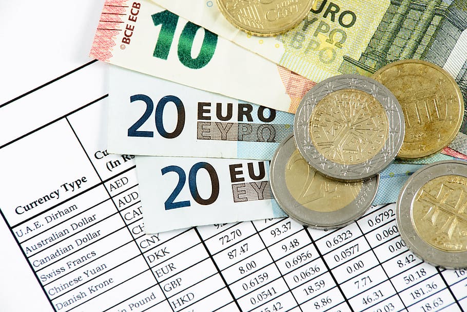The Euro is holding well as the ECB keeps the door open for more rate cuts