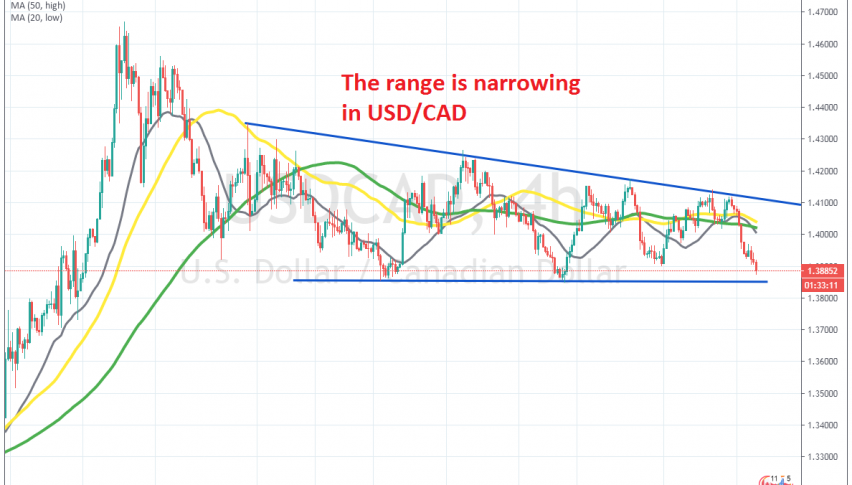 Let's see if the support will hold again