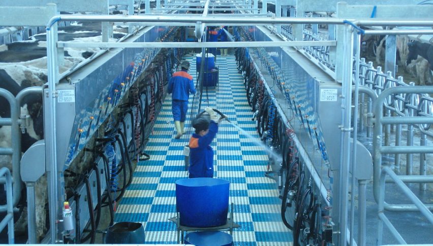 China's Manufacturing PMI Dips in May as External Demand Contracts