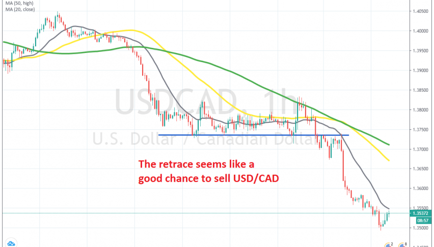 The trend is still bullish on the H1 chart