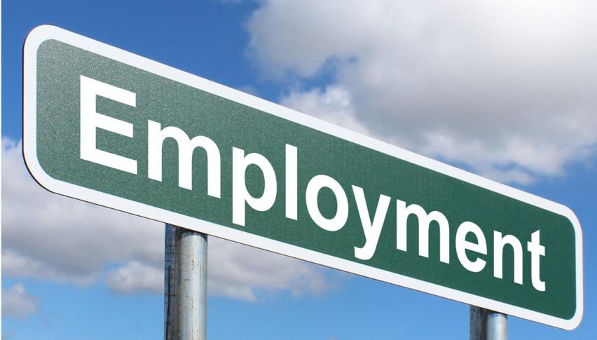 Employment has been in focus all this year in US