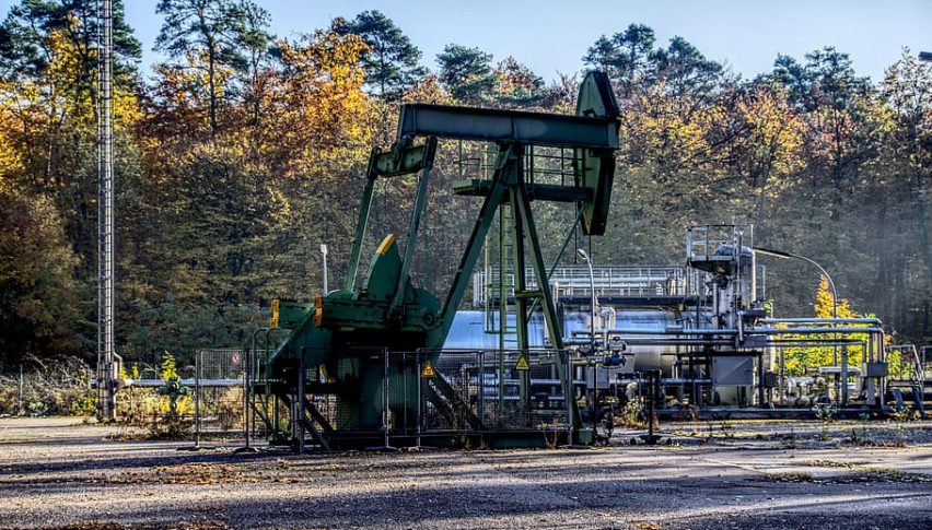 EIA Revises Estimates for Fall in US Crude Output, Oil Consumption Levels
