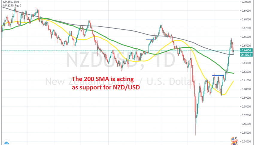 Let's hope for a bounce from here