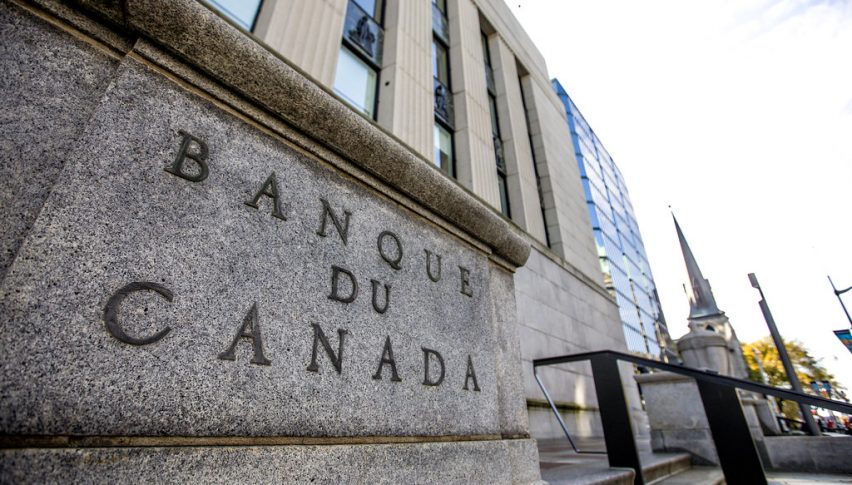 BOC to keep rates unchanged at 5.00%