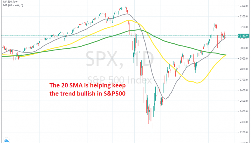 The pullback ended at the 20 daily SMA today