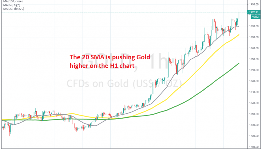Buyers are not waiting for pullbacks lower in Gold