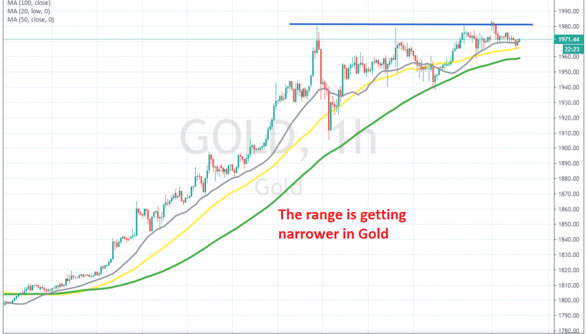 A wedge is forming in Gold