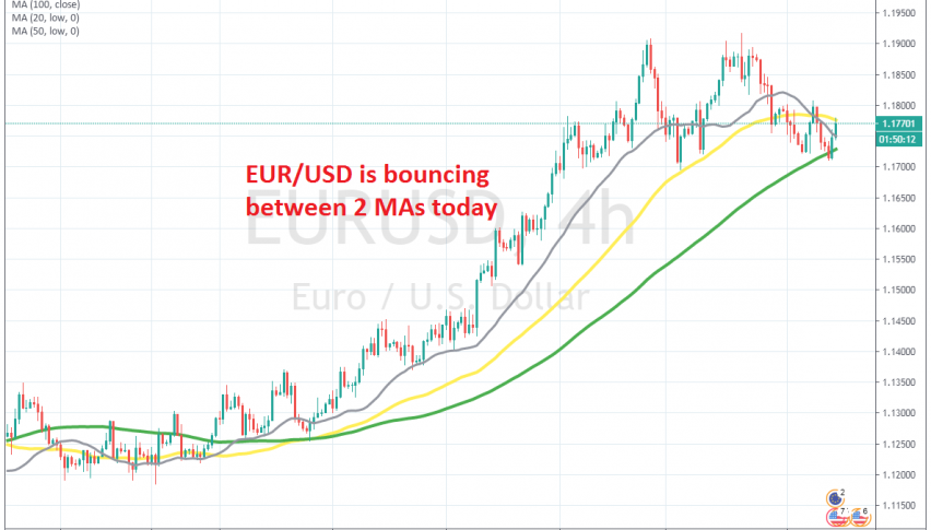 Let's see if the 50 SMA will reject the price soon