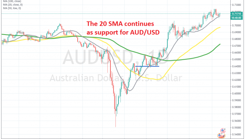The bullish momentum continues on the daily chart