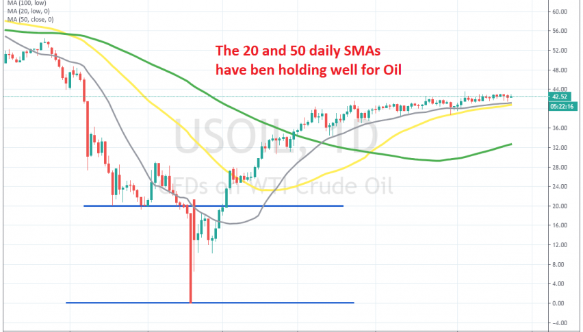 The trend remains bearish on the daily chart