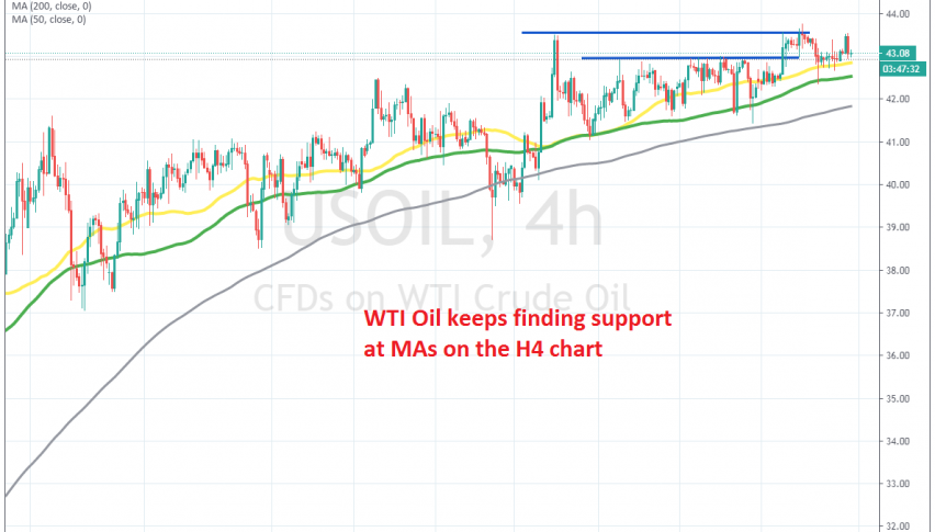 The trend is bullish as long as MAs stay below