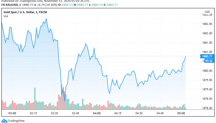 Gold Gains as US Stimulus, Vaccine Rollout Challenges Surface