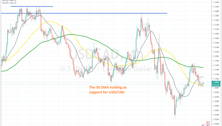 The bounce is already underway