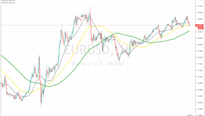 The 50 SMA is holding as support again today