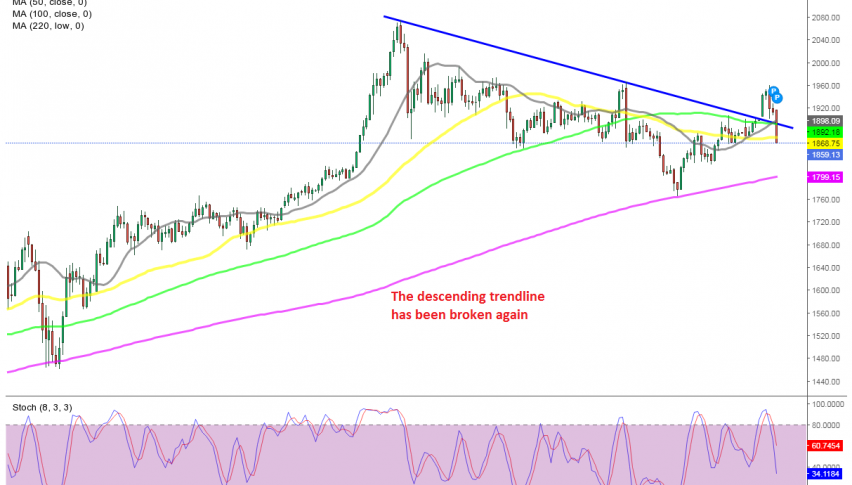 Gold Daily Chart