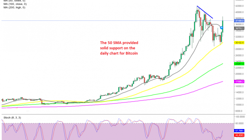 Bitcoin Daily Chart