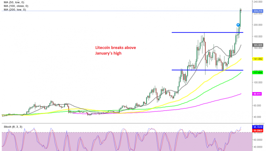 The bullish trend resumed as soon as the 50 SMA caught up