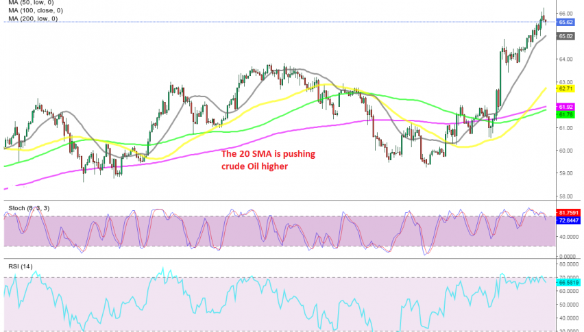 Oil continues the bullish run