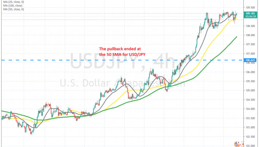 The bullish trend is back on now