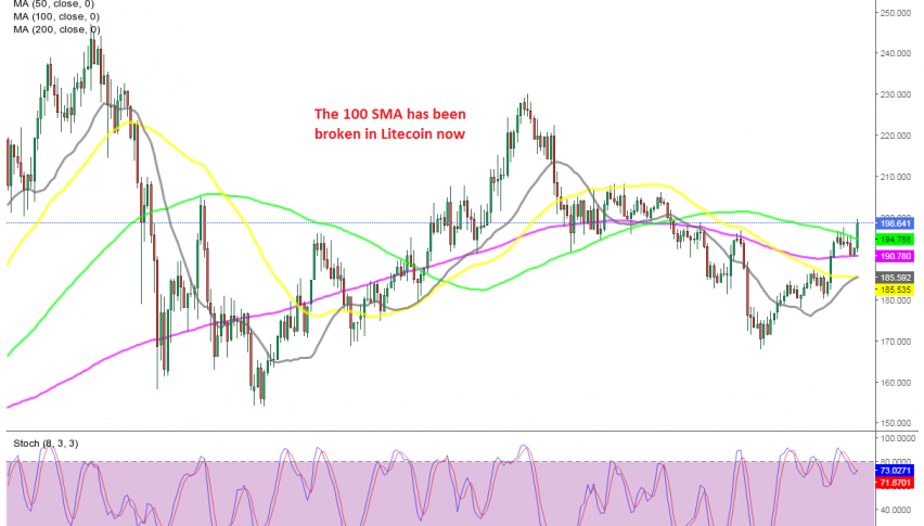This month's pullback is over for cryptos