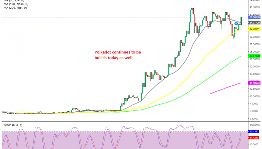 Buyers remains strong in Polkadot, although I haven't heard anything regarding it